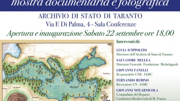 Ulivo e bisso marino. Il Mediterraneo che unisce