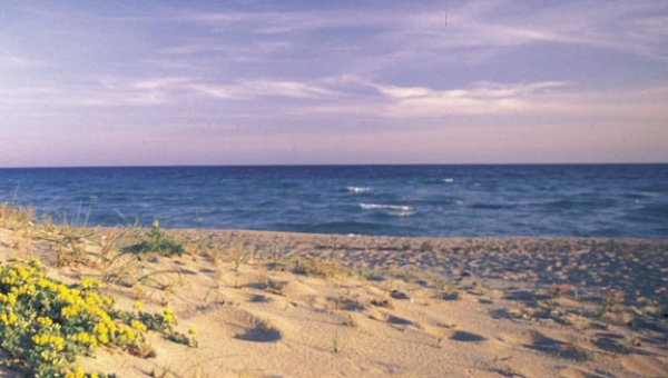 La Provincia di Taranto: Scienza Mare e Coste