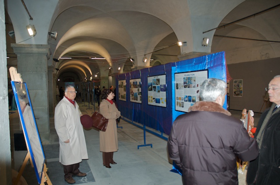 2009 - Comunicare il mare - Livorno