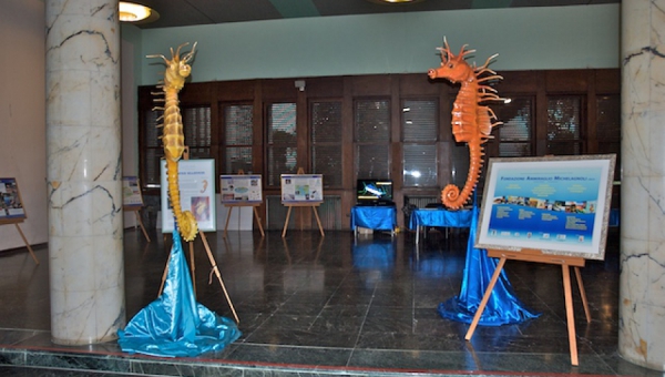 2010 - La Fondazione al MAST - Maritime Systems and Technology