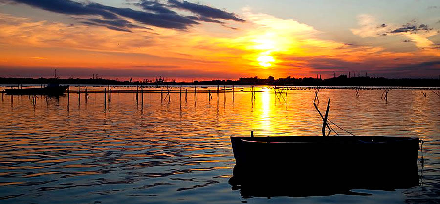Adottiamo l'ambiente