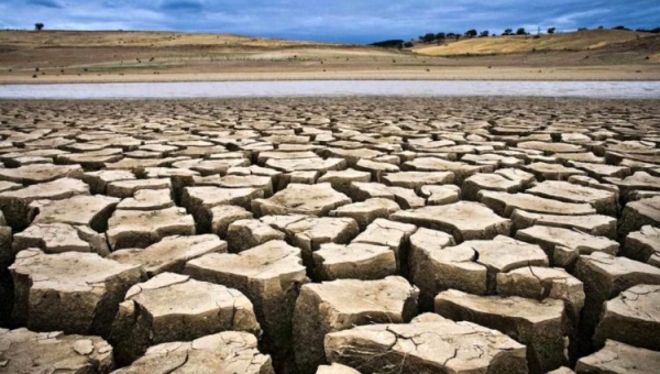2002 - Stop alla desertificazione