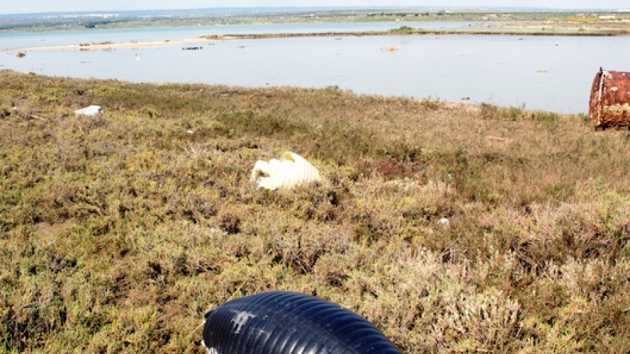 Le emergenze ambientali