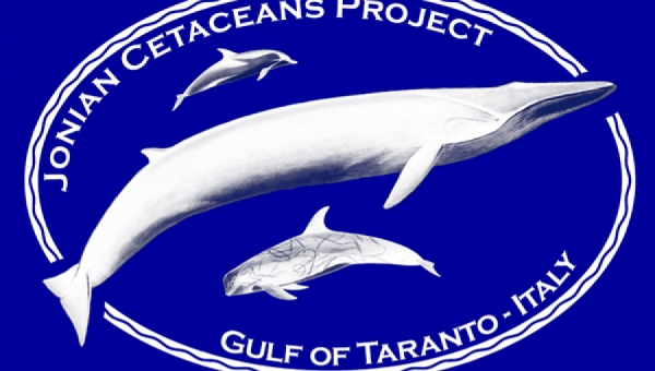 Jonian Cetaceans Project