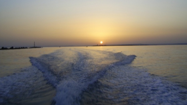 Siamo parte della Terra