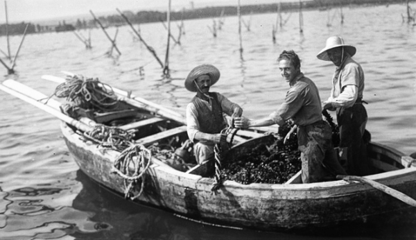 Le gestione delle risorse del mare