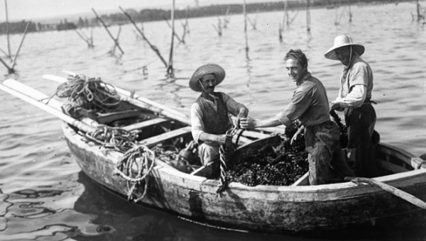 Le gestione delle risorse del mare