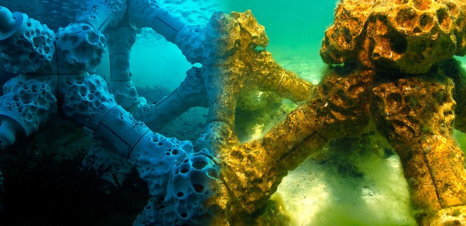 Le scogliere artificiali