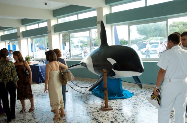 Pesci in Mostra - Spaday (Messina)