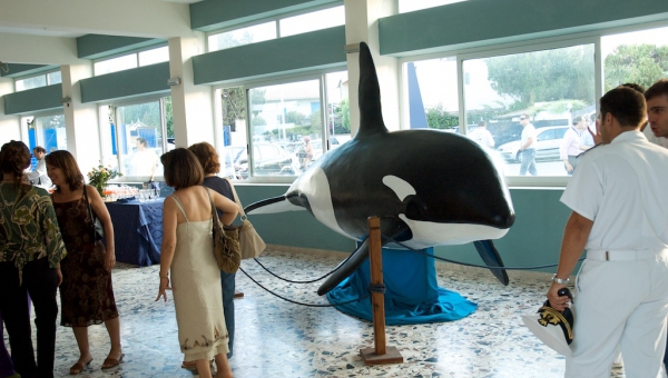 Pesci in Mostra - Spaday (Messina)