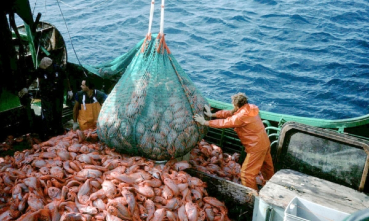 Uso sostenibile delle risorse marine