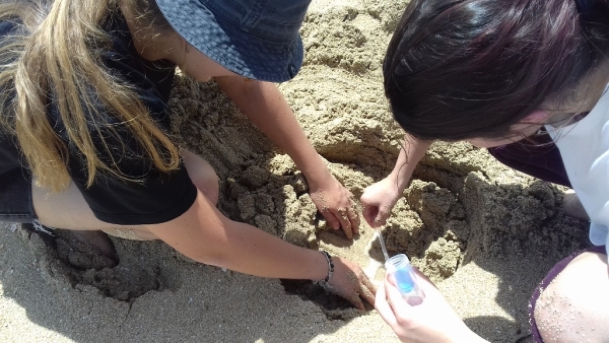 Scienza Mare & Coste
