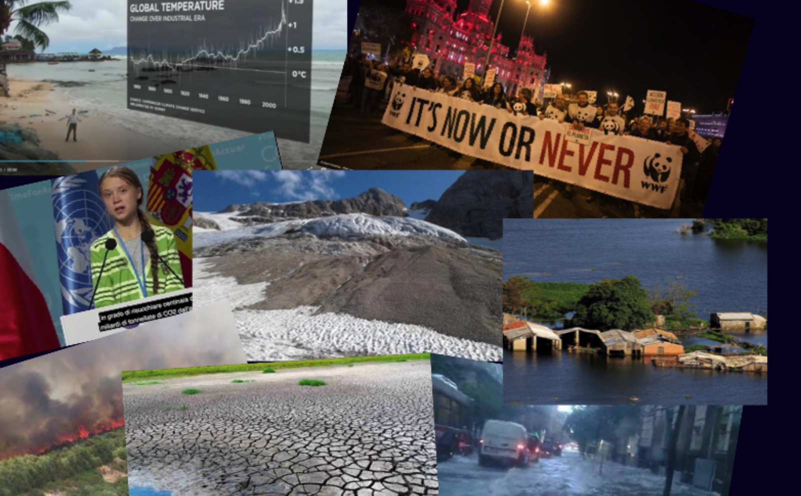 Cambiamenti climatici ed Ecosistema marino