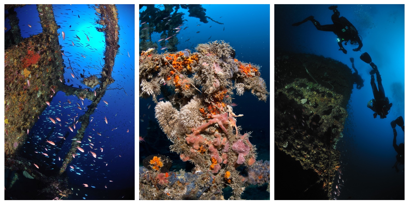 RASSEGNA “IL RELITTO, L’AMBIENTE MARINO E IL TURISMO SUBACQUEO”