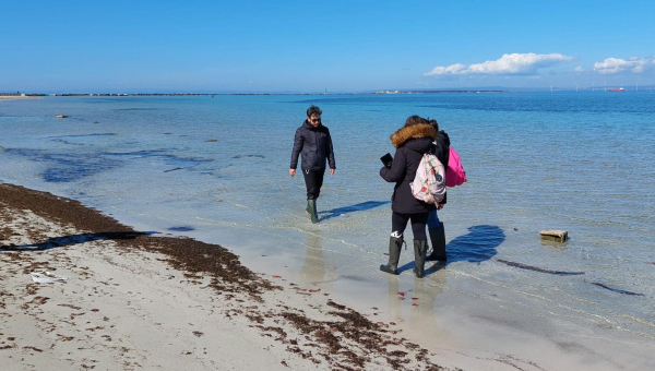 immagine articolo PCTO