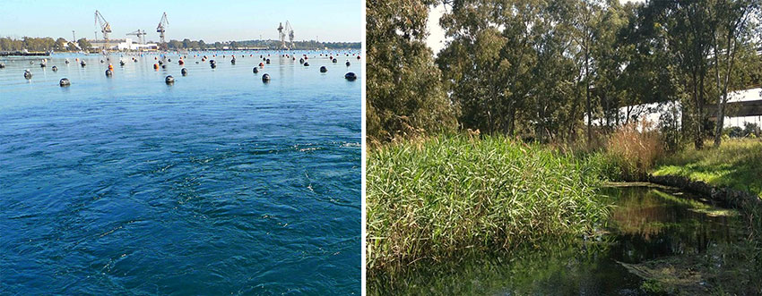 A sinistra, citri e cantieri sullo sfondo. A destra, il fiume Galeso
